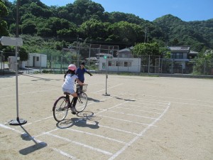 IMG_0660