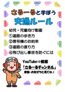 さるーる動画ポスターのサムネイル